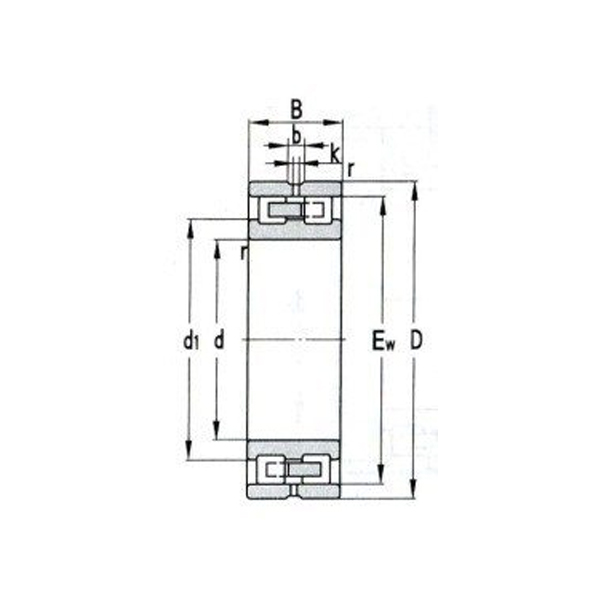 Double row cylindrical roller bearing